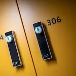 The Bee بيت شباب *